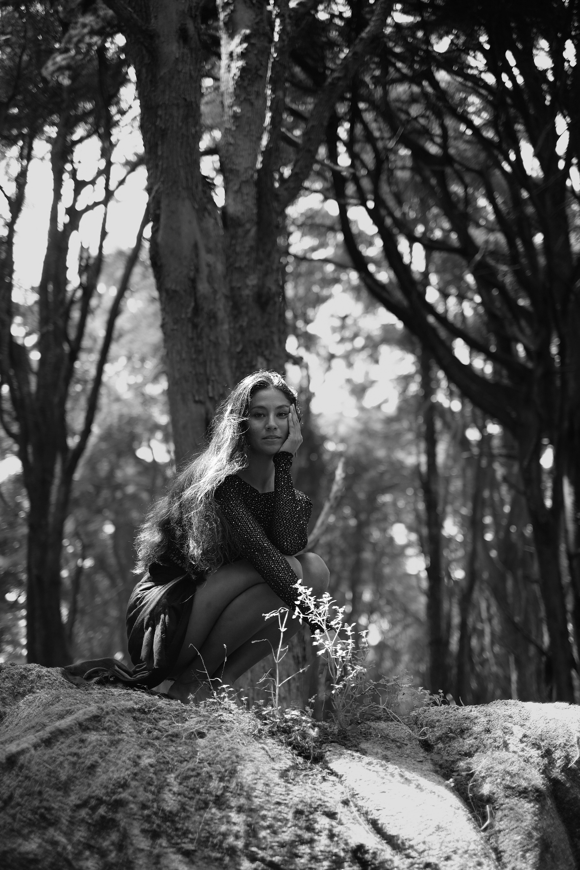 Lis Kanzler Photography